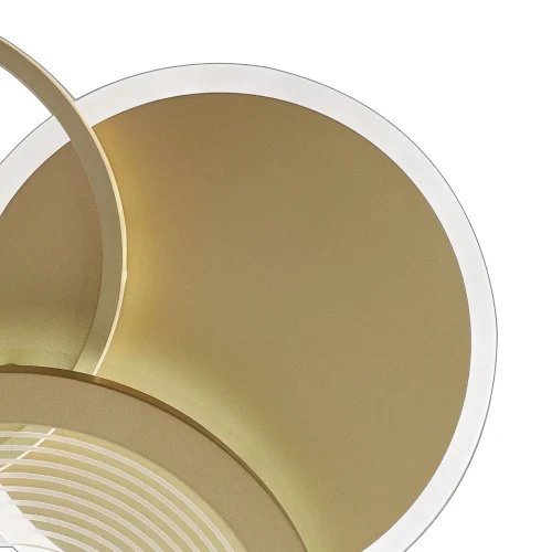 Люстра потолочная с пультом LED LAMPS 81300 Natali Kovaltseva золотая на 1 лампу, основание золотое в стиле хай-тек с пультом кольца фото 4